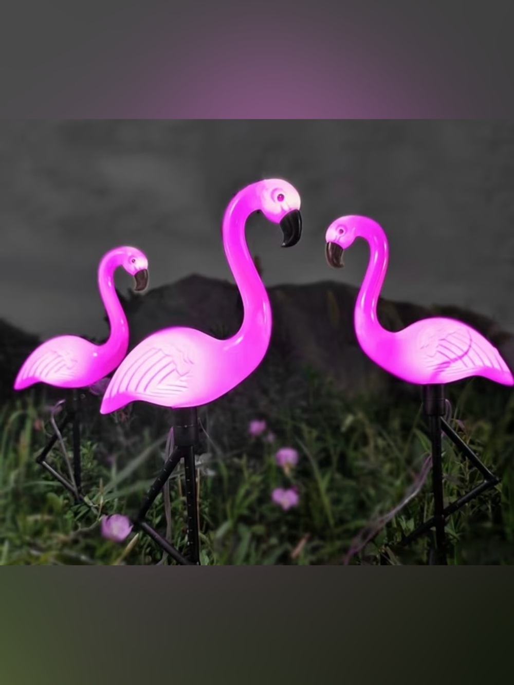 Solar Pink Flamingo LED Lawn Stakes - Decorative Garden Lights